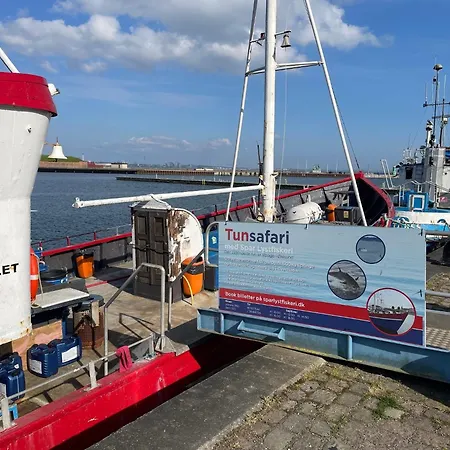 Cozy In The Center Of *