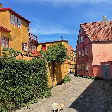 Cozy In The Center Of