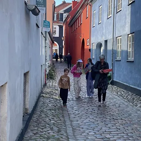 Cozy In The Center Of Appartement *